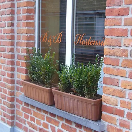 Bed & Breakfast Hortensia 3*